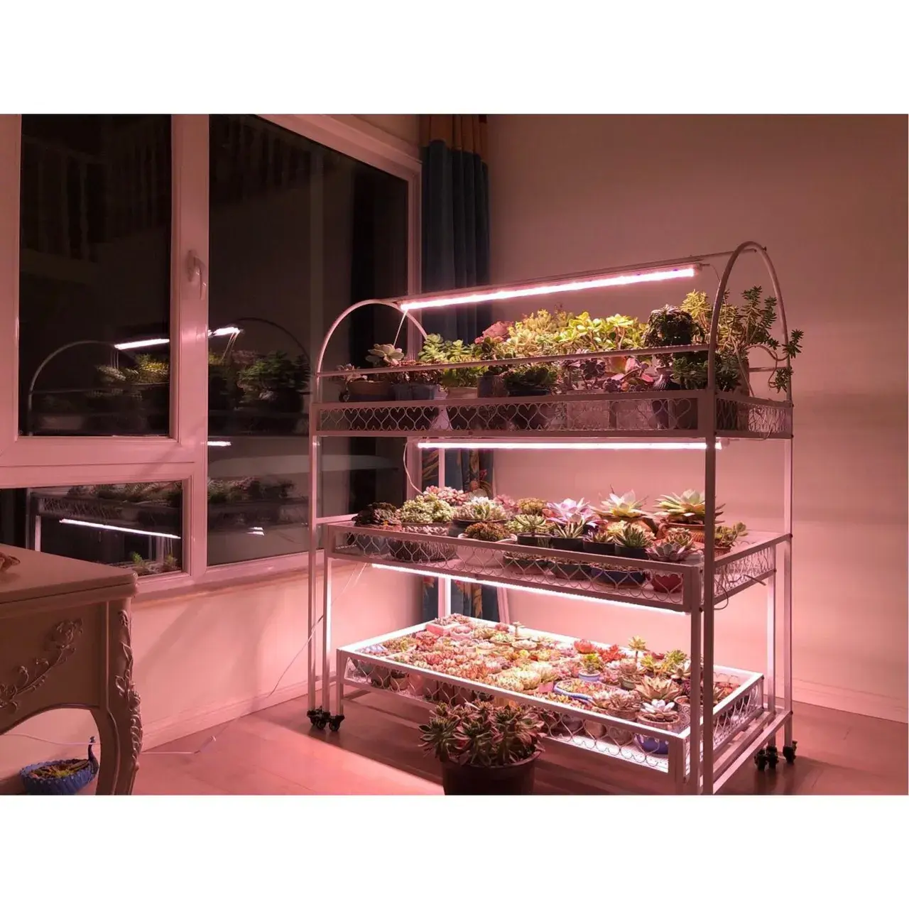 Lampa dubla pentru cresterea plantelor, 50 cm, T5, tehnologie LED, nu afecteaza plantele, potrivit pentru intregul ciclu de crestere, lumina alb calda (4)