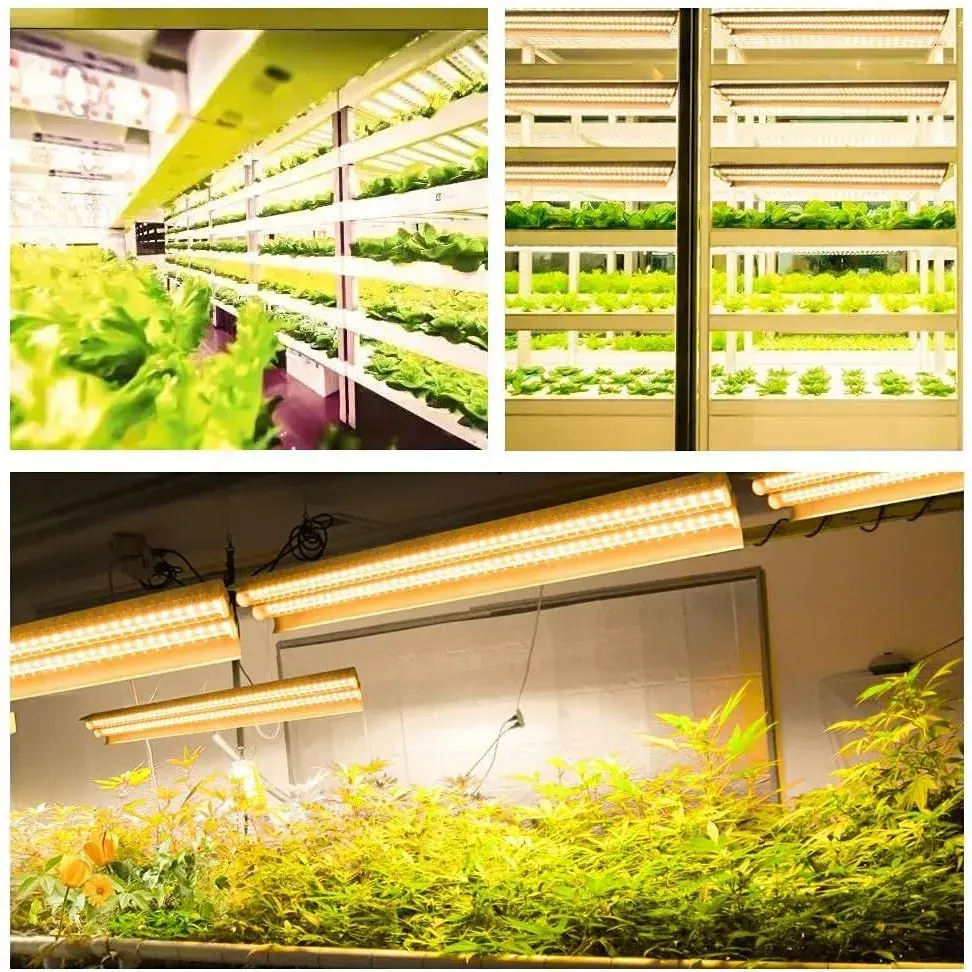 Lampa dubla pentru cresterea plantelor, 50 cm, T5, tehnologie LED, nu afecteaza plantele, potrivit pentru intregul ciclu de crestere, lumina alb calda (6)