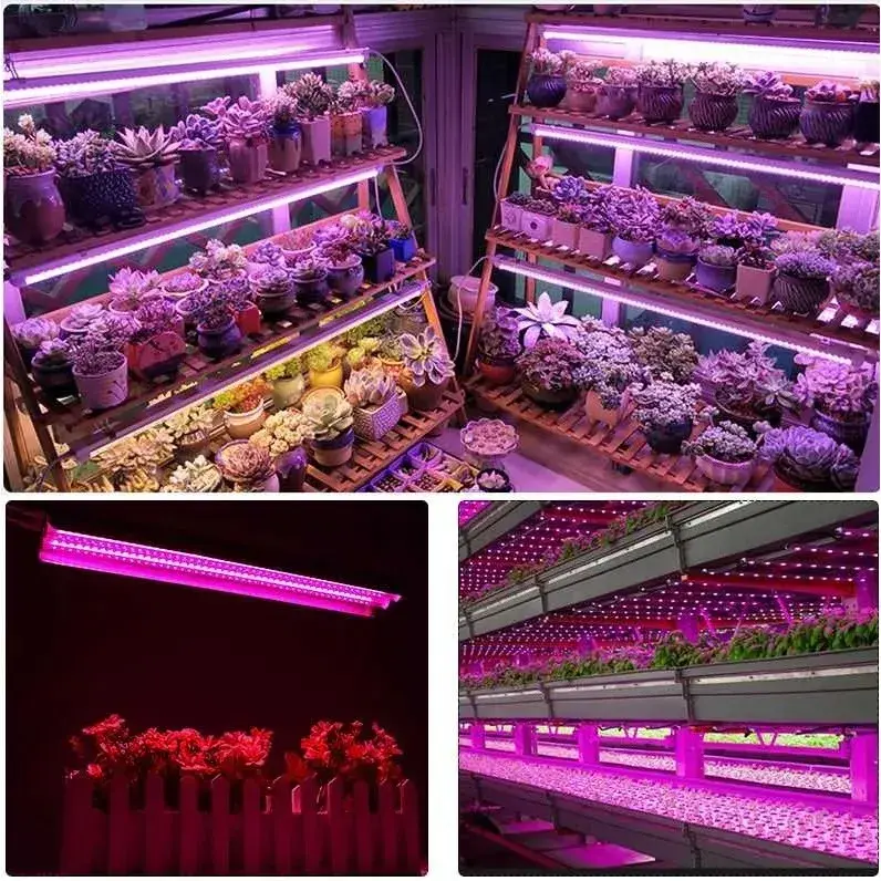 Lampa dubla pentru cresterea plantelor, 50 cm, T5, tehnologie LED, nu afecteaza plantele, potrivit pentru intregul ciclu de crestere (2)