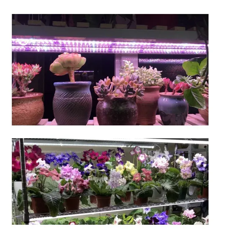Lampa dubla pentru cresterea plantelor, 50 cm, T5, tehnologie LED, nu afecteaza plantele, potrivit pentru intregul ciclu de crestere (4)