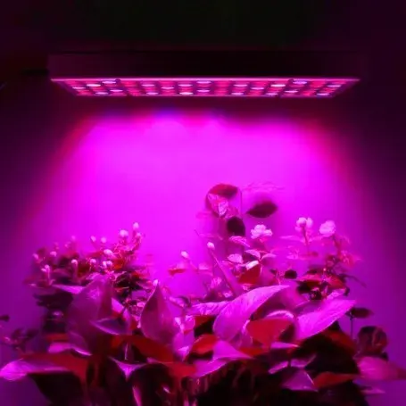 Lampa LED 15W, pentru cresterea plantelor in interior, material ABS, cu agatatoare, 25 x 25 cm, multicolor (5)